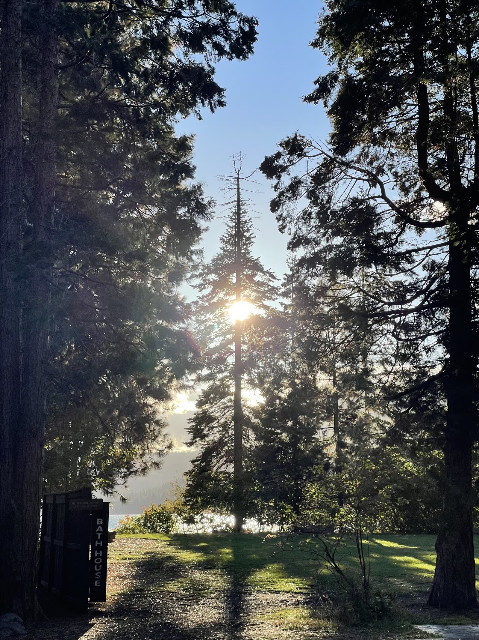 Sun breaking through the pines above Suttle Lake